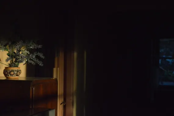 Трада Казино Поддръжка